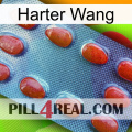 Hard Wang 06